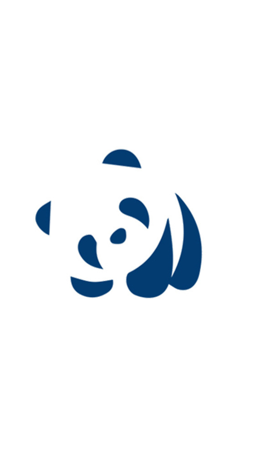 Panda Szeretet Ideiglenes Tetoválás